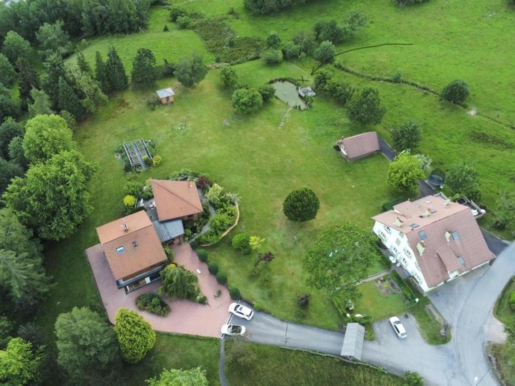 ※ Residence Pomme De Pin - Terrasse - Nature ※ Xonrupt-Longemer Zewnętrze zdjęcie