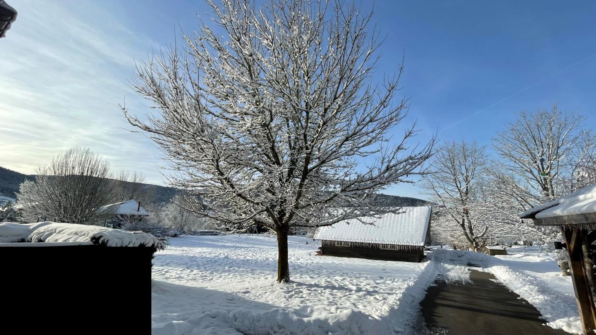 ※ Residence Pomme De Pin - Terrasse - Nature ※ Xonrupt-Longemer Zewnętrze zdjęcie